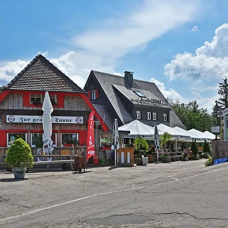 Zur Grossen Tanne * Buehl (Rastatt)