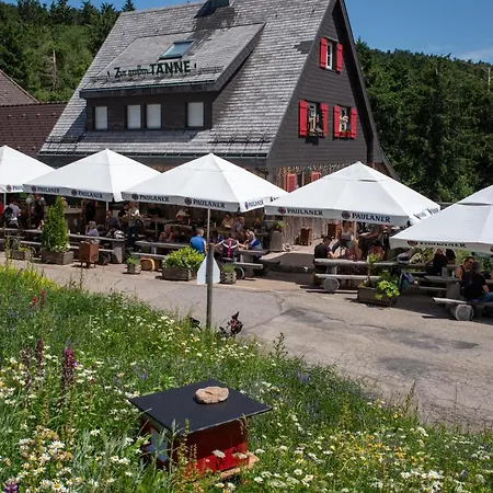 Inn Zur Grossen Tanne *