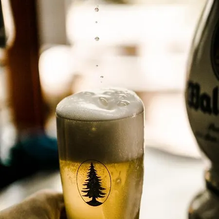 Inn Zur Grossen Tanne *