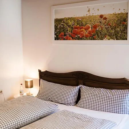 Zur Grossen Tanne Inn *