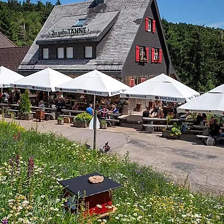 Inn Zur Grossen Tanne